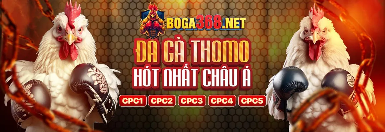 Tin tức mới nhất từ 3win02 về cá cược và ưu đãi độc quyền