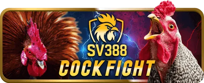 Hoàn Trả Tiền Cược 3win02